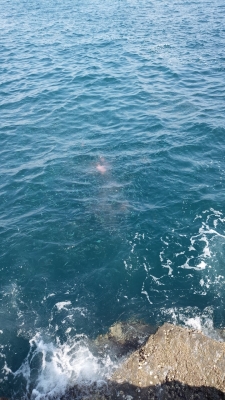 北浦