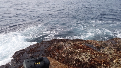 鷹島