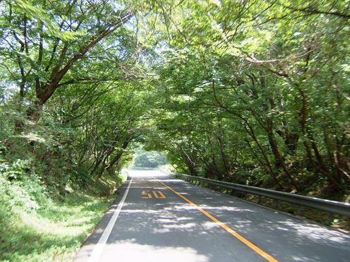 湯布院→別府の道