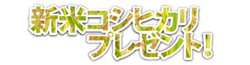 新米コシヒカリプレゼント!