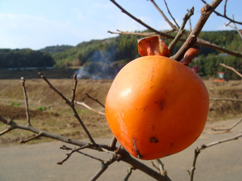 興神社|長崎県壱岐市