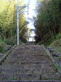 天手長男神社|壱岐市郷ノ浦町