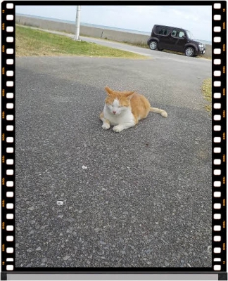 ÊÔ½¸_DSCN2041.jpg