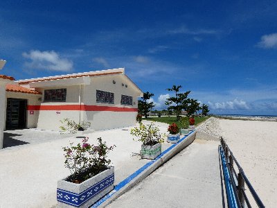 P1100279.jpg