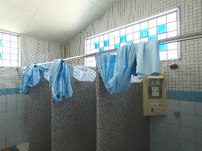 P1100455.jpg