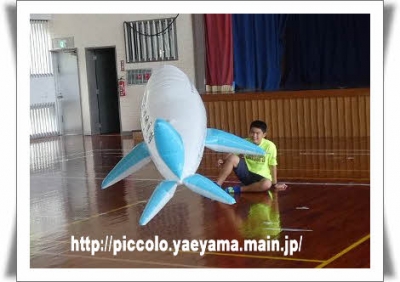 ÊÔ½¸_P1380655.jpg