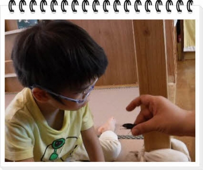 ÊÔ½¸_DSCF7337.jpg