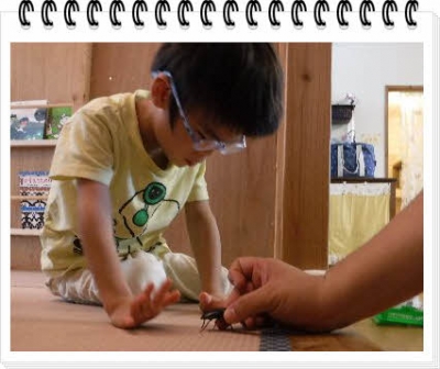 ÊÔ½¸_DSCF7340.jpg
