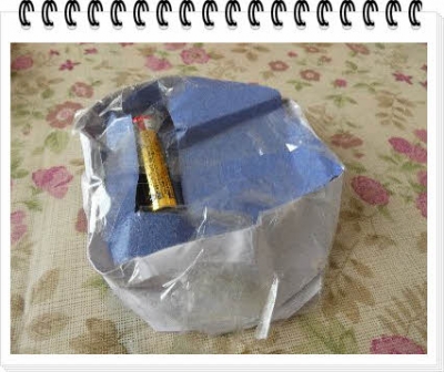 ÊÔ½¸_P1450729.jpg