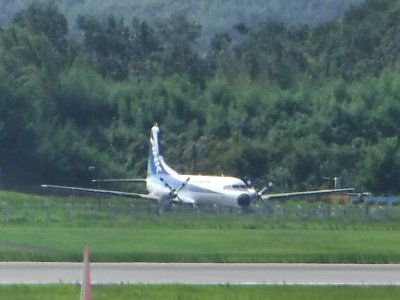 DSCF0682.jpg