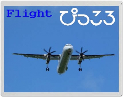 flight.jpg