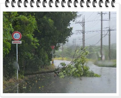 ÊÔ½¸_P1730157.jpg