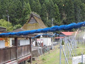 CIMG0668_R.JPG