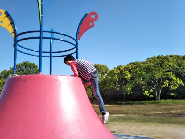 IMG_20180514_152409_20180514163505.jpg
