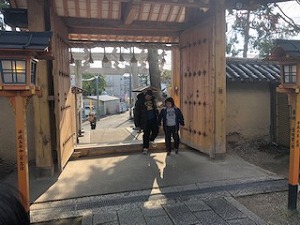IMG_5733.jpg