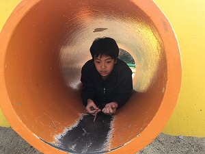 IMG_7944.jpg
