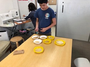 IMG_9541.jpg