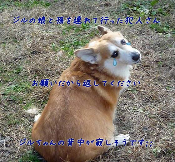 ジルは娘と孫の帰りを待っています