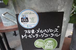 メルヘン