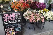 市場の花