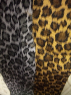 111101_201151.jpg