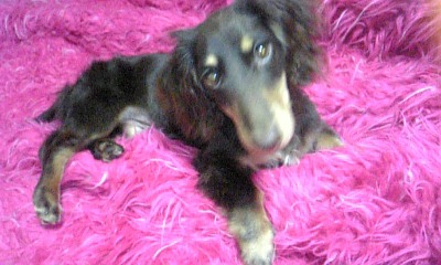 20070505_11631.jpg