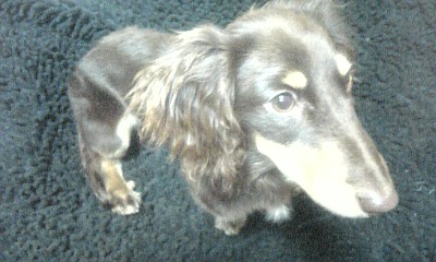 20070507_14730.jpg