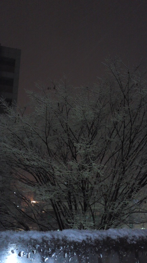 110214_2040~01.jpg