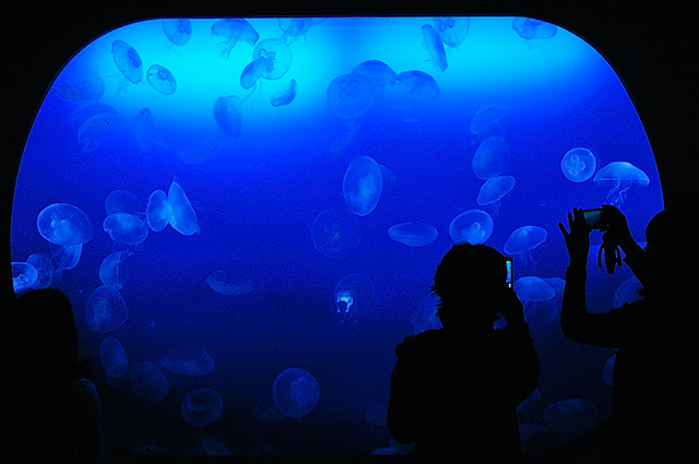 _DSC8031.jpg