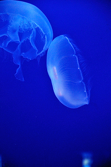 _DSC8042.jpg