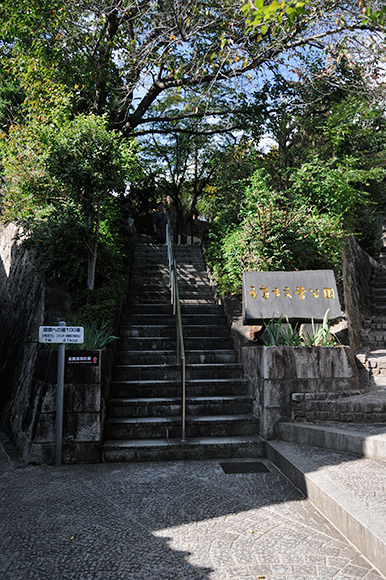 _DSC7664.jpg