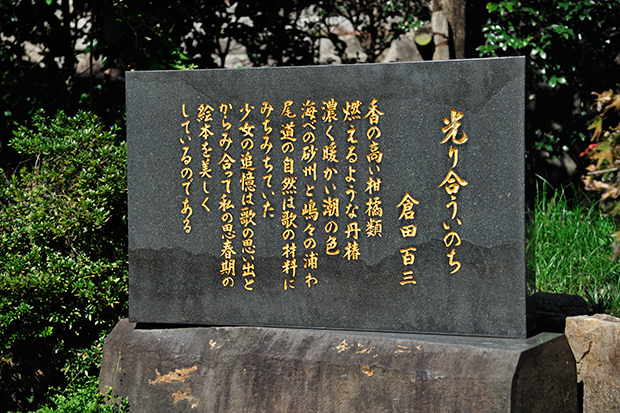 _DSC7683.jpg