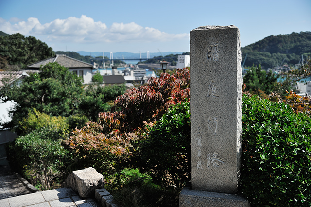 _DSC7697.jpg