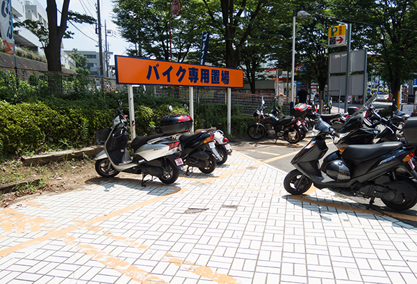 DSCN2453.jpg