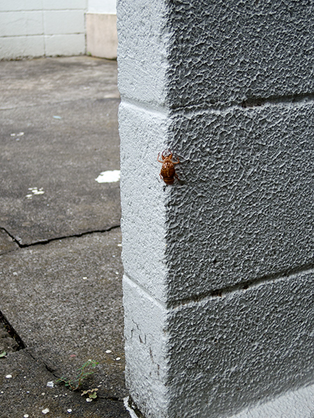 DSCN2638.jpg