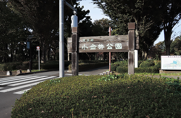DSCN2886.jpg