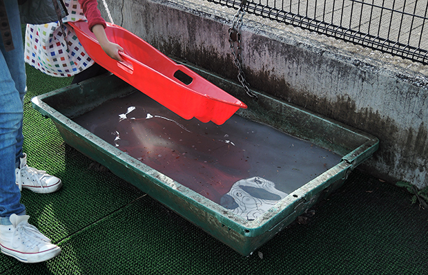 DSCN2916.jpg