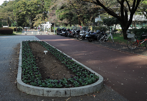 DSCN2889.jpg