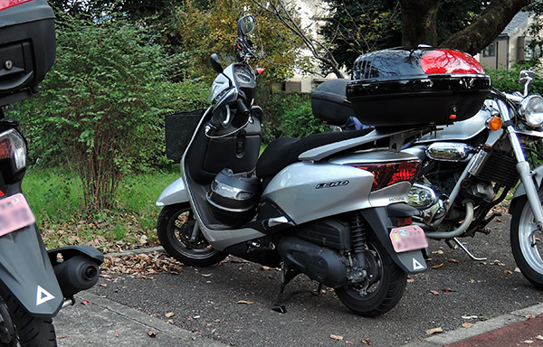 DSCN2938.jpg