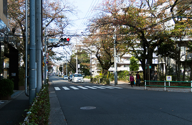DSCN2880.jpg