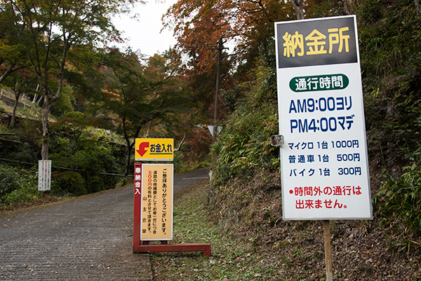 _DSC0975.jpg