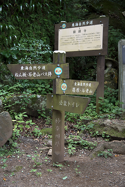 _DSC1989.jpg