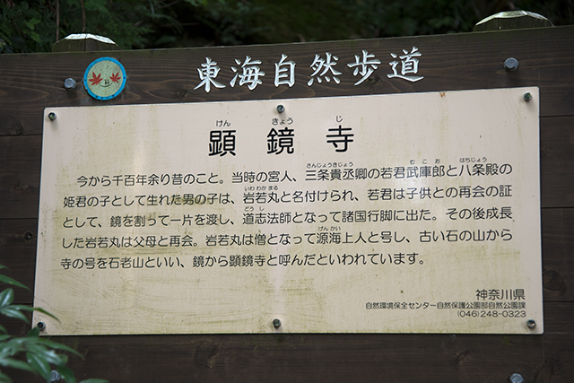 _DSC1986.jpg