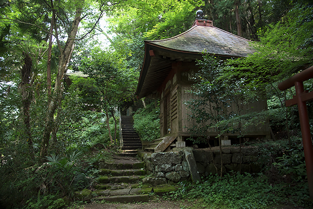 _DSC1998.jpg