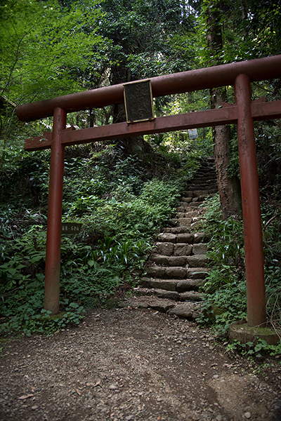 _DSC2000.jpg