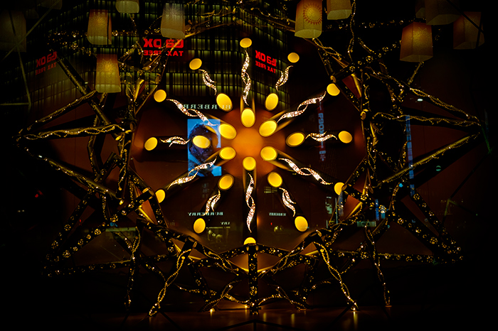 _DSF1477.jpg