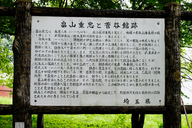 _DSF4781.jpg
