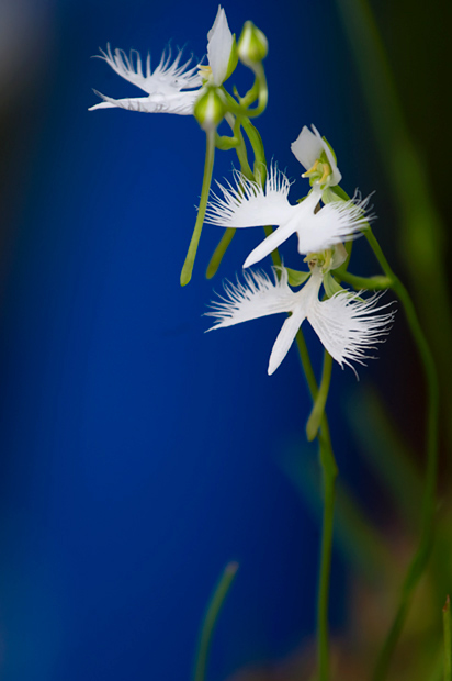 _DSC8509.jpg
