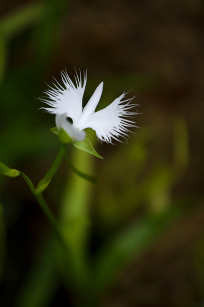 _DSC8725.jpg