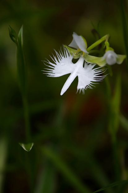 _DSC8665.jpg